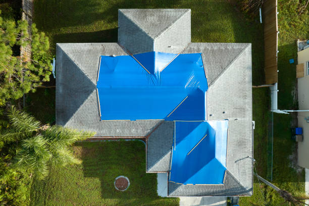 Best Roof Moss and Algae Removal  in Lampasas, TX